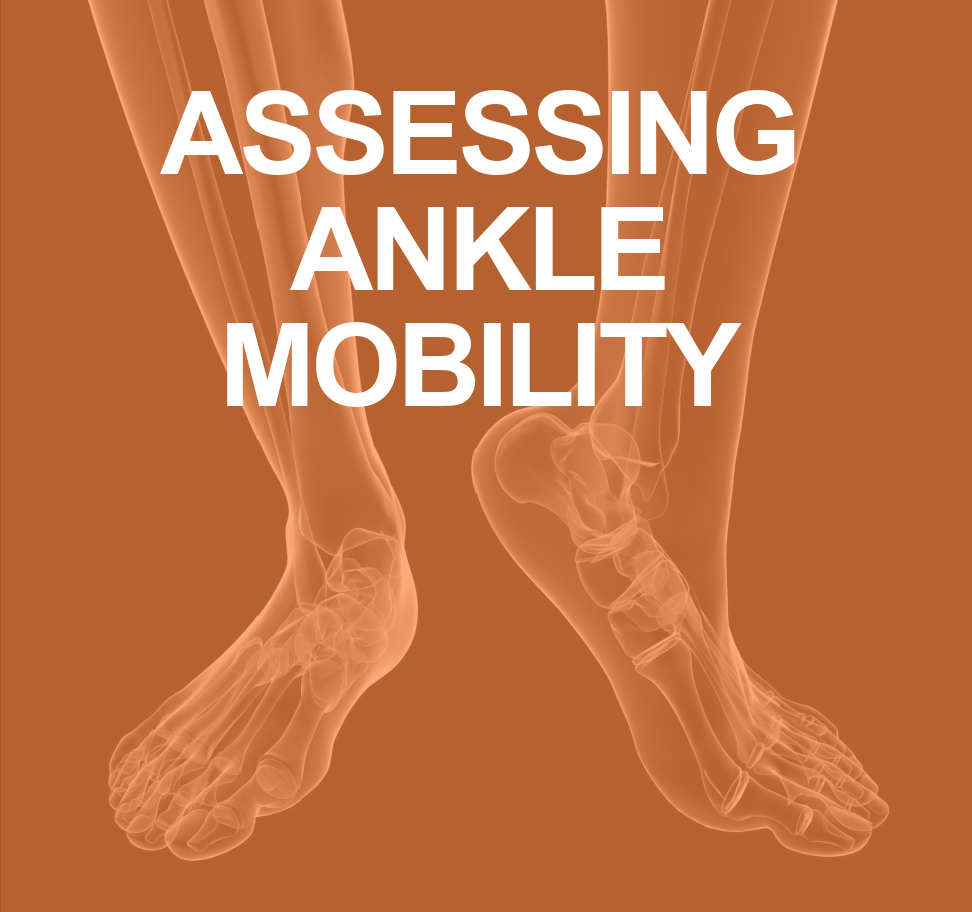 foot inversion range of motion