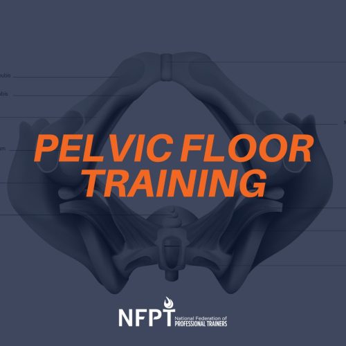 NFPT Blog: A fitness article resource for personal trainers