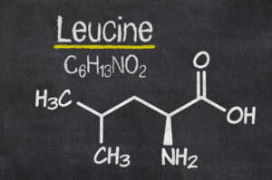 The Role of Protein in Training: What Personal Trainers Should Know 1 leucine