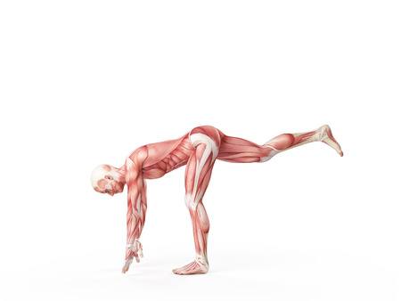 Some Clients Need Lunge Exercise Alternatives 13 42587406 s