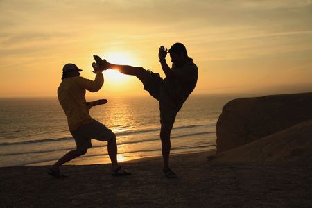 Clients and Combat Training - Presenting Krav Maga 6 6216409 s 1