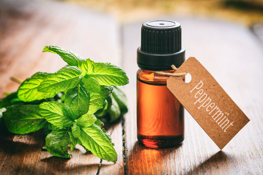 The Effects of Peppermint on Performance 9 67315382 s