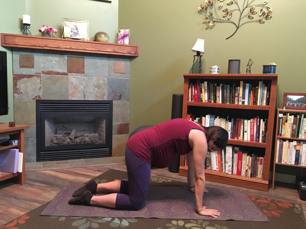 Baby Onboard: Modifying Exercises For Effective Prenatal Workouts 4 All Fours Flexion