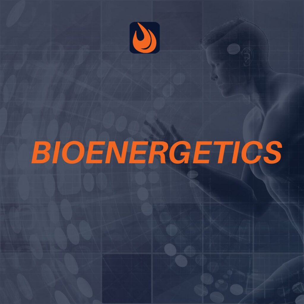 Bioenergetics: Aerobic versus Anaerobic Energy Production 1 bioenergetics