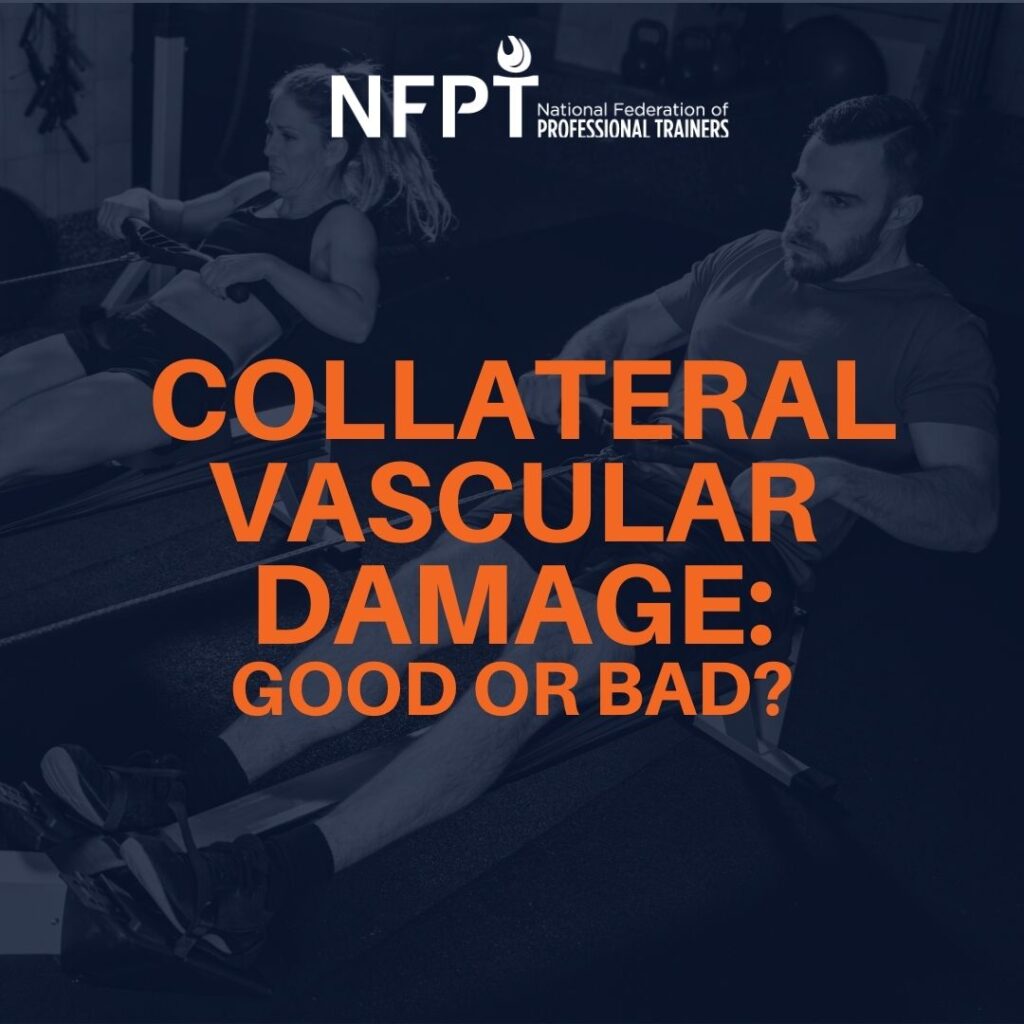 Collateral Vascular Damage: A Good or Bad Thing For Building Muscle? 2 COLLATERAL VASCULAR DAMAGE