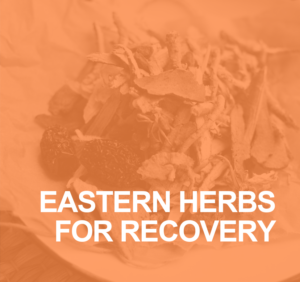 Eastern and Western Herbs for Recovery 7 Eastern Herbs image