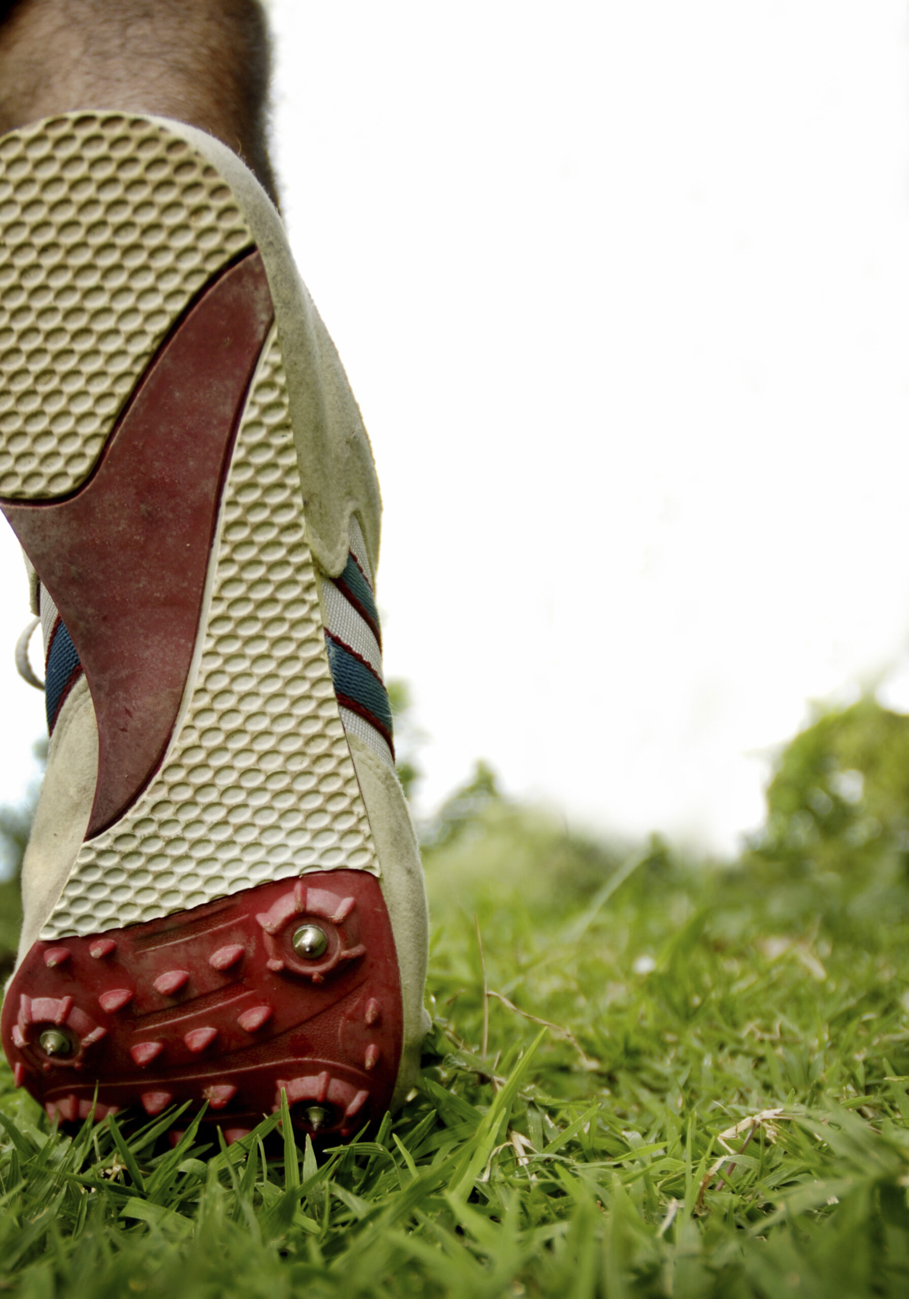 Endurance Cover scaled