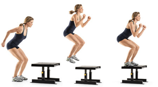 No Equipment? No Excuses! 2 Exercise 2