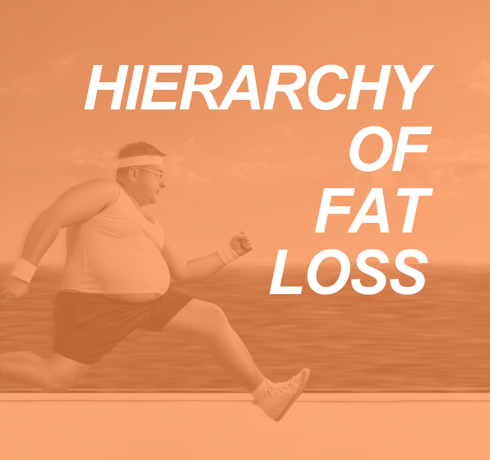 The Physiology of Fat Loss: Understanding the Hierarchy 11 FAT LOSS