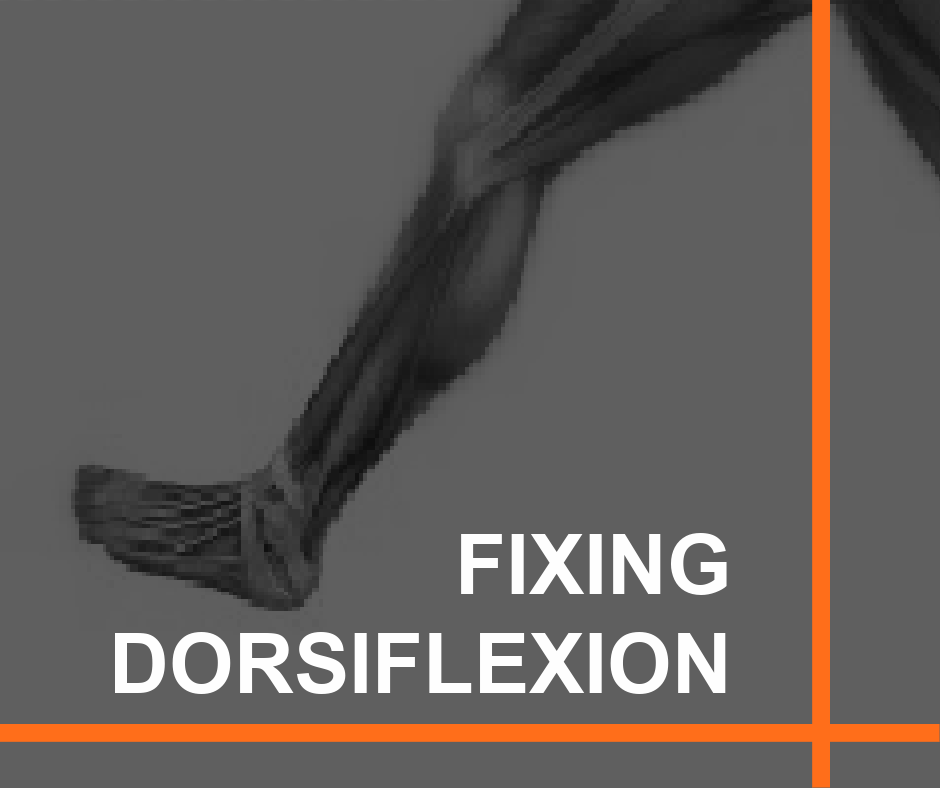 Improve Dorsiflexion by Strengthening This Muscle 23 Featured