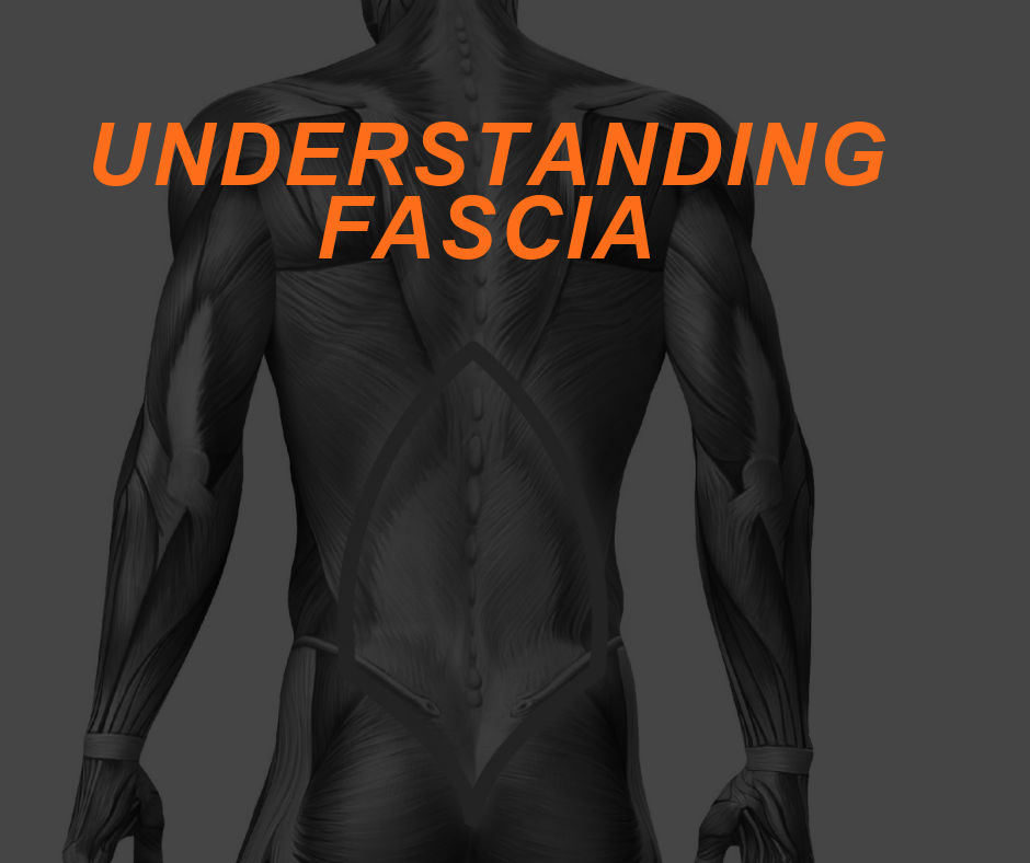 Featured Image FASCIA 1