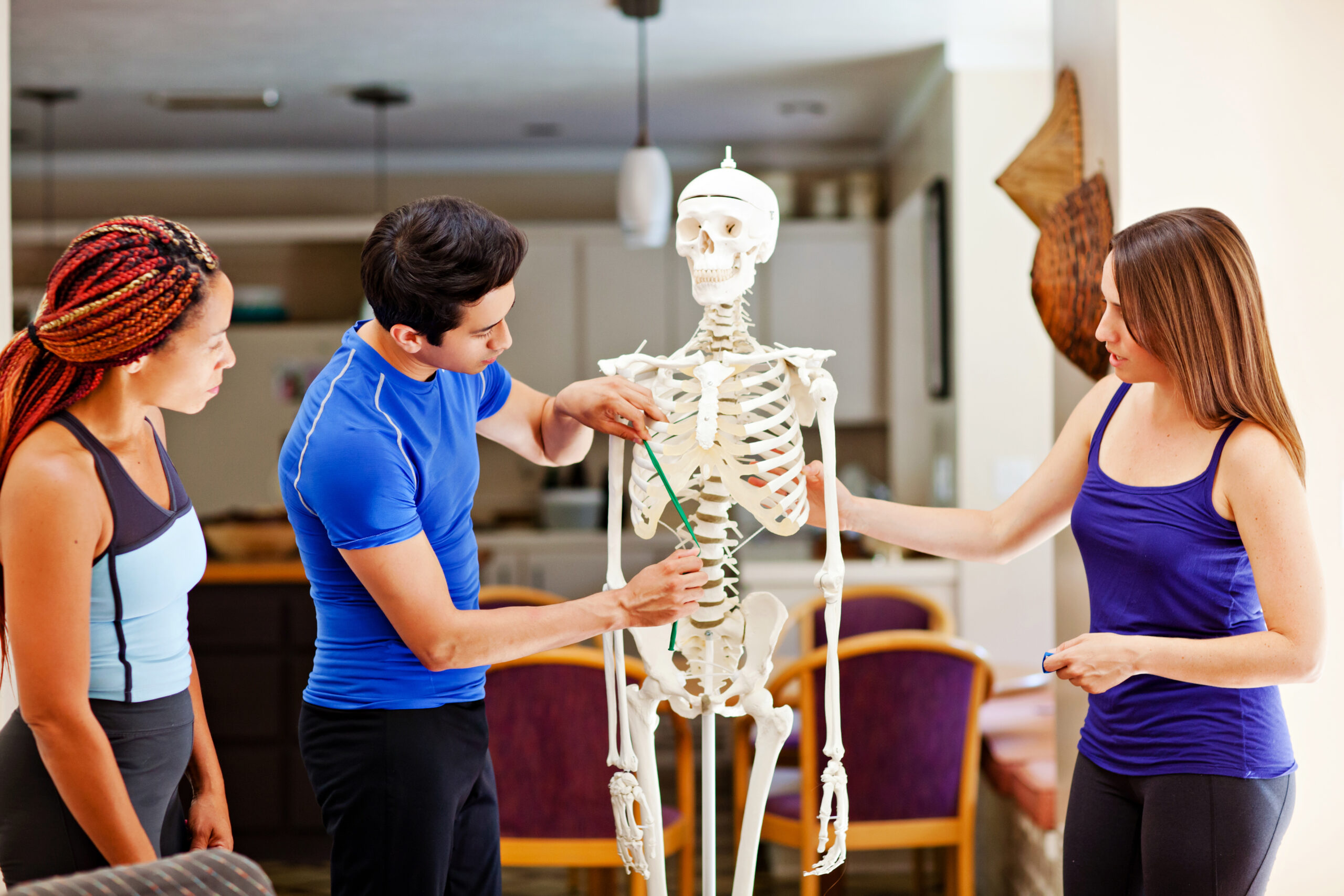 Continuing Education for Personal Trainers 1 skeleton