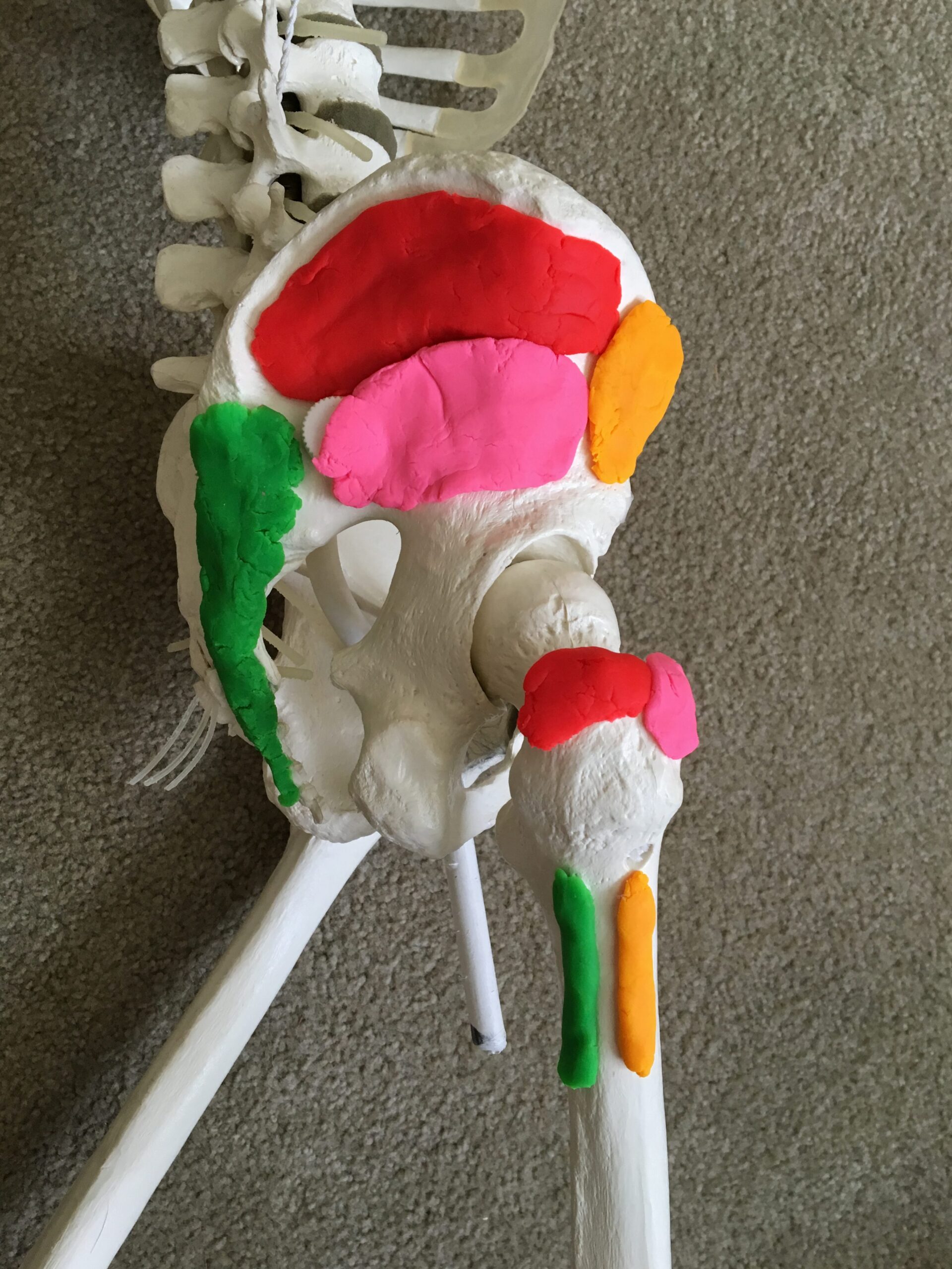 IT Band Stretch: A Different Approach to Alleviate Tightness 2 Glutes