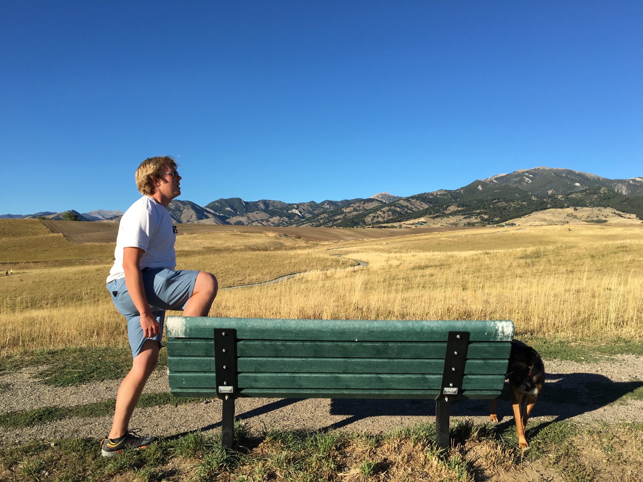 7 Bodyweight Exercises for Outside the Box Training 2 step up