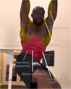 Grow Your Clientele by Being flexible In Order to Meet Their Needs 2 muscles