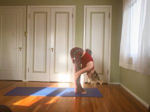 Improve Client Flexibility With This Yoga Series 3 yoga