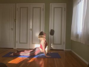 Improve Client Flexibility With This Yoga Series 7 yoga