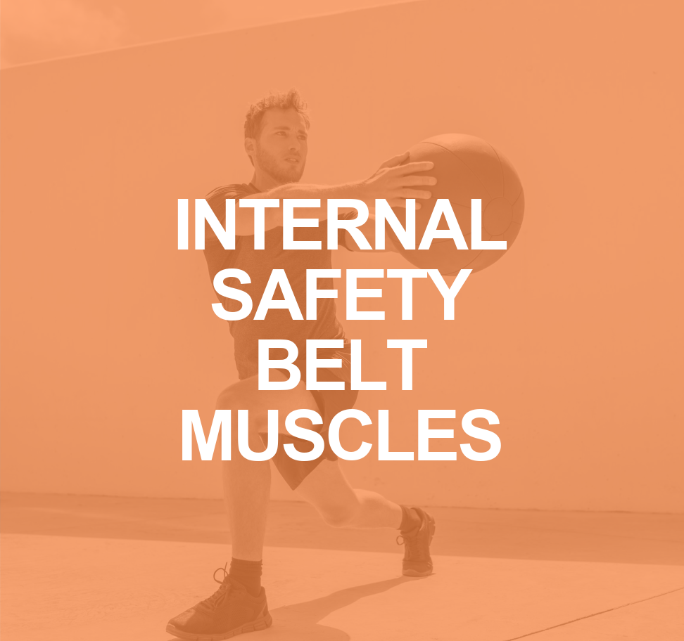 TVA and IO Muscles: The Internal Safety Belt 30 INTERNAL SAFETY BELT