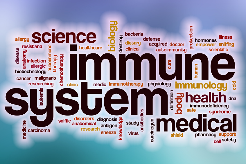 Immune System Feature