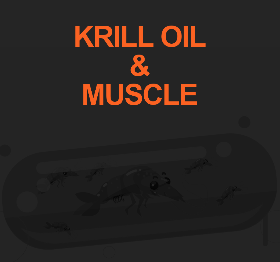 Enhance Muscular Strength with Krill Oil 8 KRILL OIL