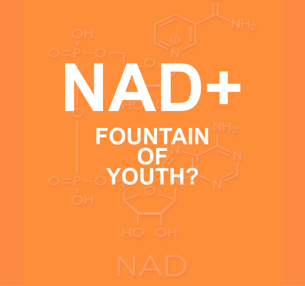 NAD+: Reprogramming the Aging Process 1 NAD IMAGE