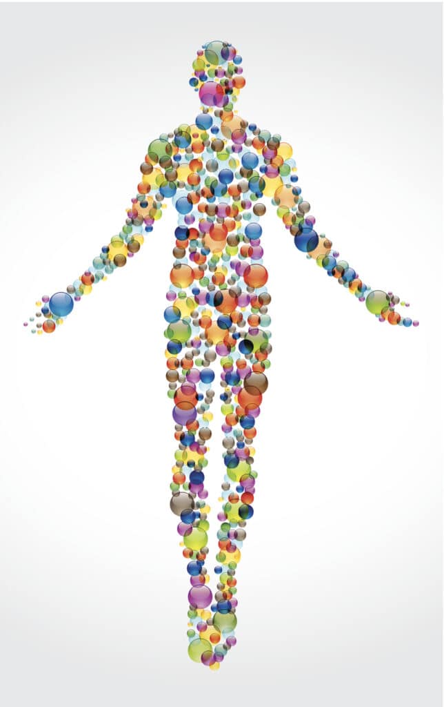 Client hormones can impact their response to fitness and body types with nutrition playing a key role in results