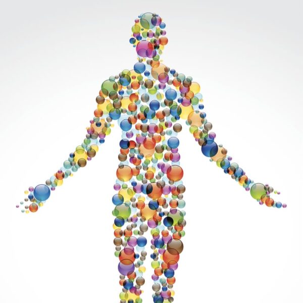 Client hormones can impact their response to fitness and body types with nutrition playing a key role in results