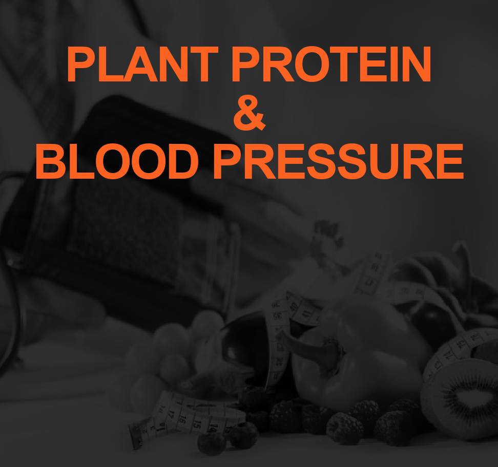 The Link Between Plant-Sourced Proteins and Blood Pressure 1 PLANT PROTEIN