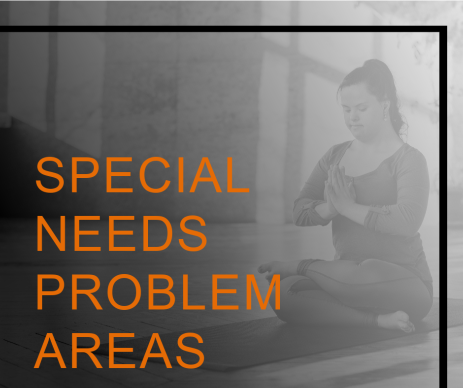 Problem Areas for Special Needs Clients and How to Target Them 11 SPECIAL NEEDS