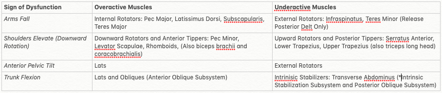 Interpreting Signs of Overhead Squat Assessment: Upper Body Dysfunction 15 Screen Shot 2019 08 21 at 4.21.54 PM