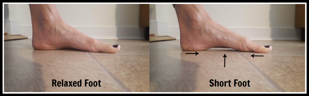 Short Foot 1024x320 1