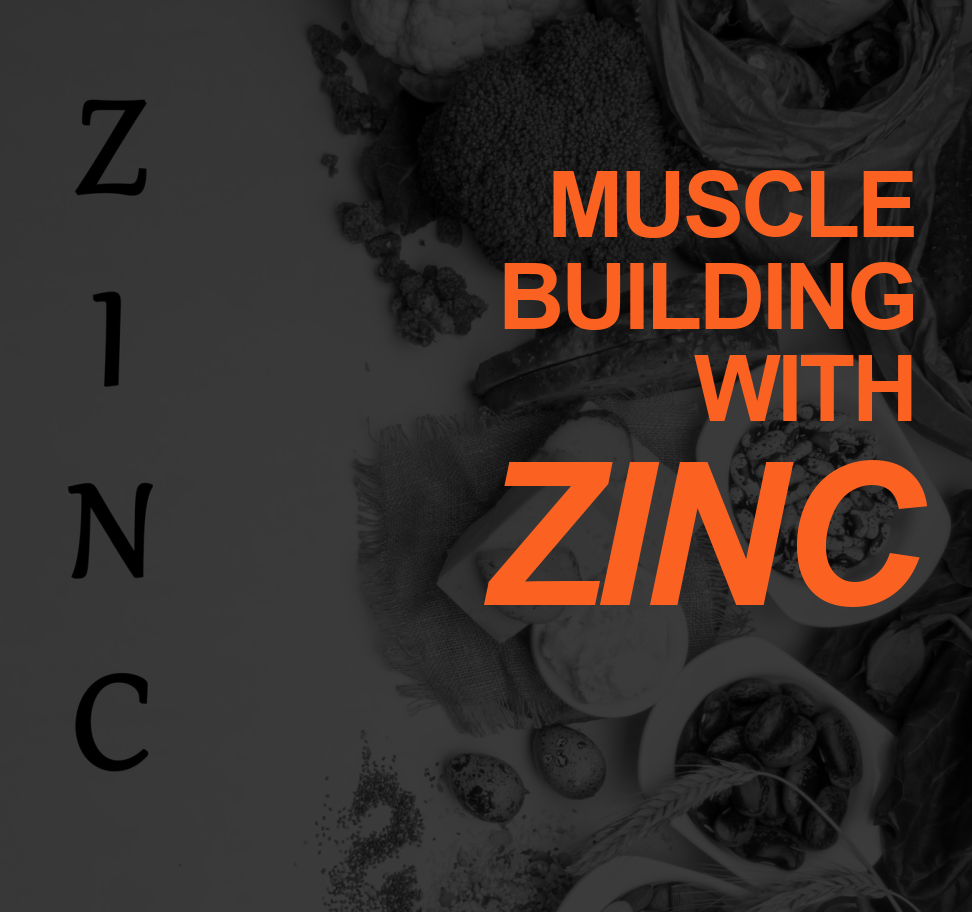 Zinc Can Add a Zing To Building Muscle 6 ZINV