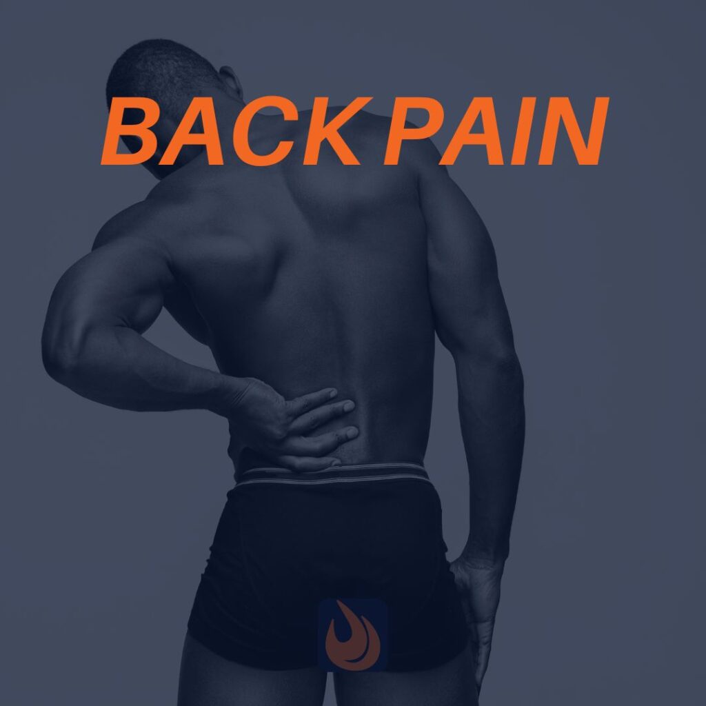 Dorsalgia: Back Pain and the Personal Training Client 3 BACK PAIN