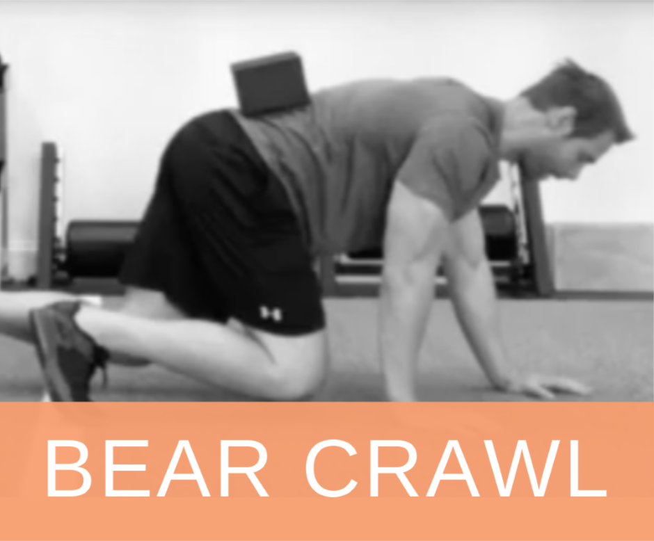 The Bear Crawl Does it All 7 bear crawl