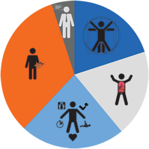 Can I Get a Personal Trainer Certification Online? 3 The NFPT Exam Topics