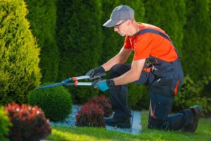 Activities of Daily Life and Posture: What Personal Trainers Need to Know 1 Professional Gardener At Work