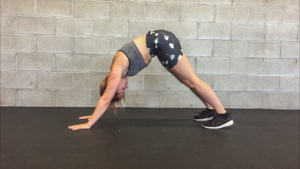 Erector Spinae Exercises for Form and Posture 3 Lumbar4