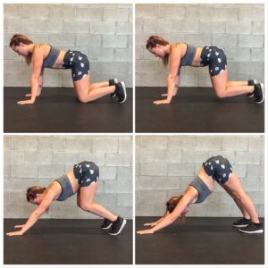 Erector Spinae Exercises for Form and Posture 4 Lumbar5