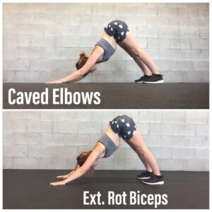 Erector Spinae Exercises for Form and Posture 5 Lumbar6