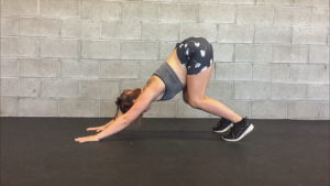 Erector Spinae Exercises for Form and Posture 6 Lumbar7