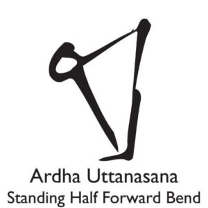 The Lymphatic System: Tuning the Other Half of a Client's Circulatory System 5 Lymphatic5