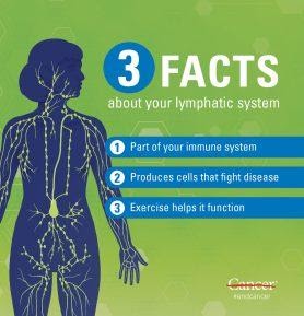 The Lymphatic System: Tuning the Other Half of a Client's Circulatory System 8 Lymphatic8