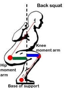 Moment Arms in Exercise: An Idiot's Guide to the Physics of Movement 5 Moment Arms1