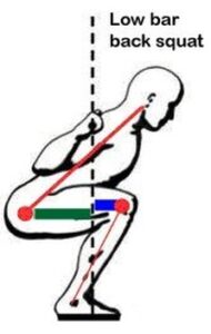 Moment Arms in Exercise: An Idiot's Guide to the Physics of Movement 7 Moment Arm Low Bar Back Squat
