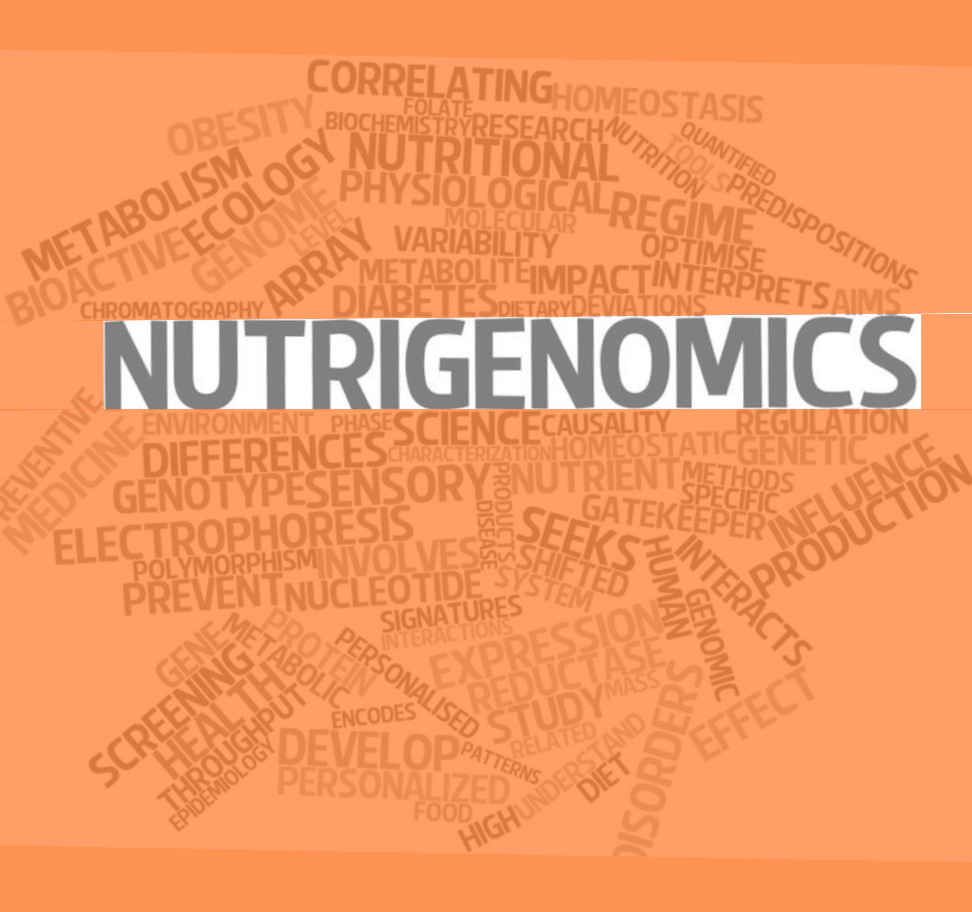 Nutrigenetics and Nutrigenomics: The Symbiosis of Genetics, Nutrition and Fitness 6 nutrigenomics