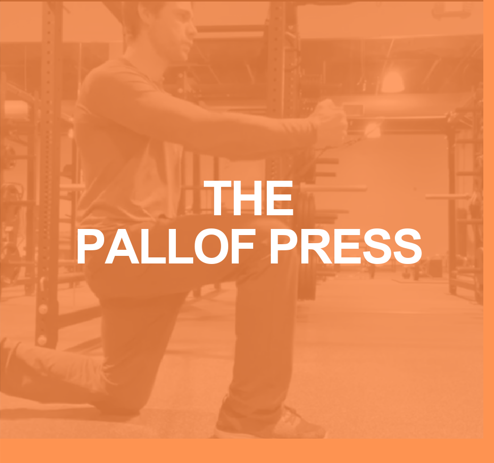 How to Do the Pallof Press 7 pallof press