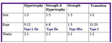 Periodization for Personal Training Clients 44 periodization table
