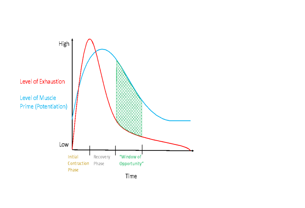 Postactivation Potentiation: Unleash Your Clients' Full Capabilities 1 postactivation