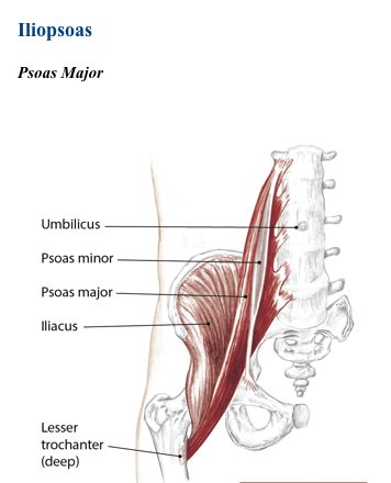psoas.001 e1565810379208