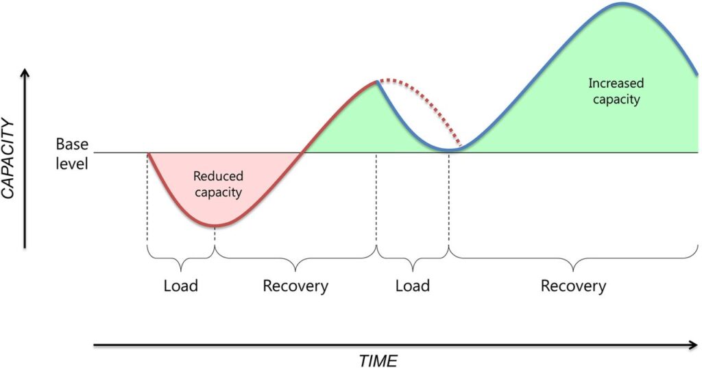 What's a "Deloading" Week and Does Your Client Need One? 46 recovery chart
